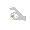 image:imageMAM Original Baby Pacifiers 06 Months Glows in The Dark 4 PackPink  Purple