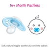 image:imageMAM Original Baby Pacifiers 16 Months Glows in The Dark 4 PackShell  Iris  Cotton
